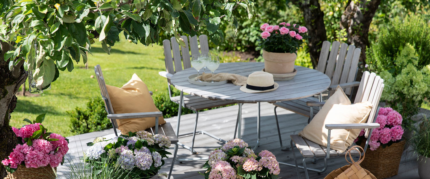 Hageinspirasjon sommerblomster Hageinspirasjon sommerblomster